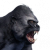 "Corrupted Grey Ape" icon