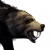 "Black Bear" icon