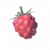 "Wildberry" icon