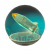 "Rocket (Capsule)" icon