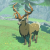 "Mountain Buck" icon