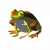 "Tireless Frog" icon