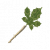 "Korok-Frond Guster" icon