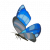"Winterwing Butterfly" icon