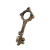 "Watchman's Key" icon