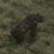 "Diseased Bear" icon