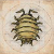 "Gil Bug" icon