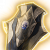"Ketheric's Shield" icon