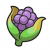 "Cornn Berry" icon
