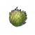 "Balloon fruit" icon