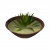 "Aloe Soup" icon