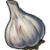 "Garlic" icon