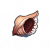 "Conch" icon