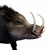 "Vanir Savage Boar" icon