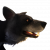 "Feral Dog" icon
