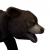 "Bear Cub" icon