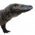 "Komodo Hatchling" icon