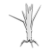 "Mandrake" icon