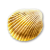 "Gold Cockle" icon