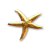 "Golden Supernova" icon