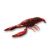 "Crawfish" icon