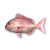 "Sea Bream" icon