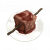 "Sandora Dragon Steak Tips" icon