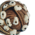 "Chorale" icon