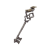 "Cliffside Key" icon