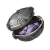 "Fine Fruit Roborant" icon