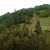 "North Ford Bog" icon