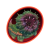 "Cactus Predator" icon