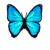"Butterflies" icon
