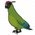 "Green Parakeet" icon