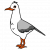 "Silver Gull" icon
