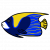 "Angel Fish" icon