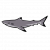 "Blacktip Reef Shark" icon