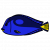 "Surgeon Fish" icon