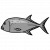 "Trevally Fish" icon