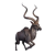 "Kudo (Antelope King)" icon
