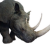 "Rhino (Grey)" icon