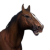 "Horse (Pet)" icon