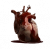 "Human Heart" icon