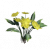 "Yellow Lotus Blossom" icon