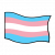 "Transgender Pride Flag" icon