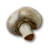 "Mushroom" icon