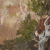 "The Roggs Mountains" icon