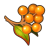 "Antipara Berries" icon