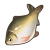 "Mysteria Crucian" icon