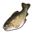 "Lulab Trout" icon